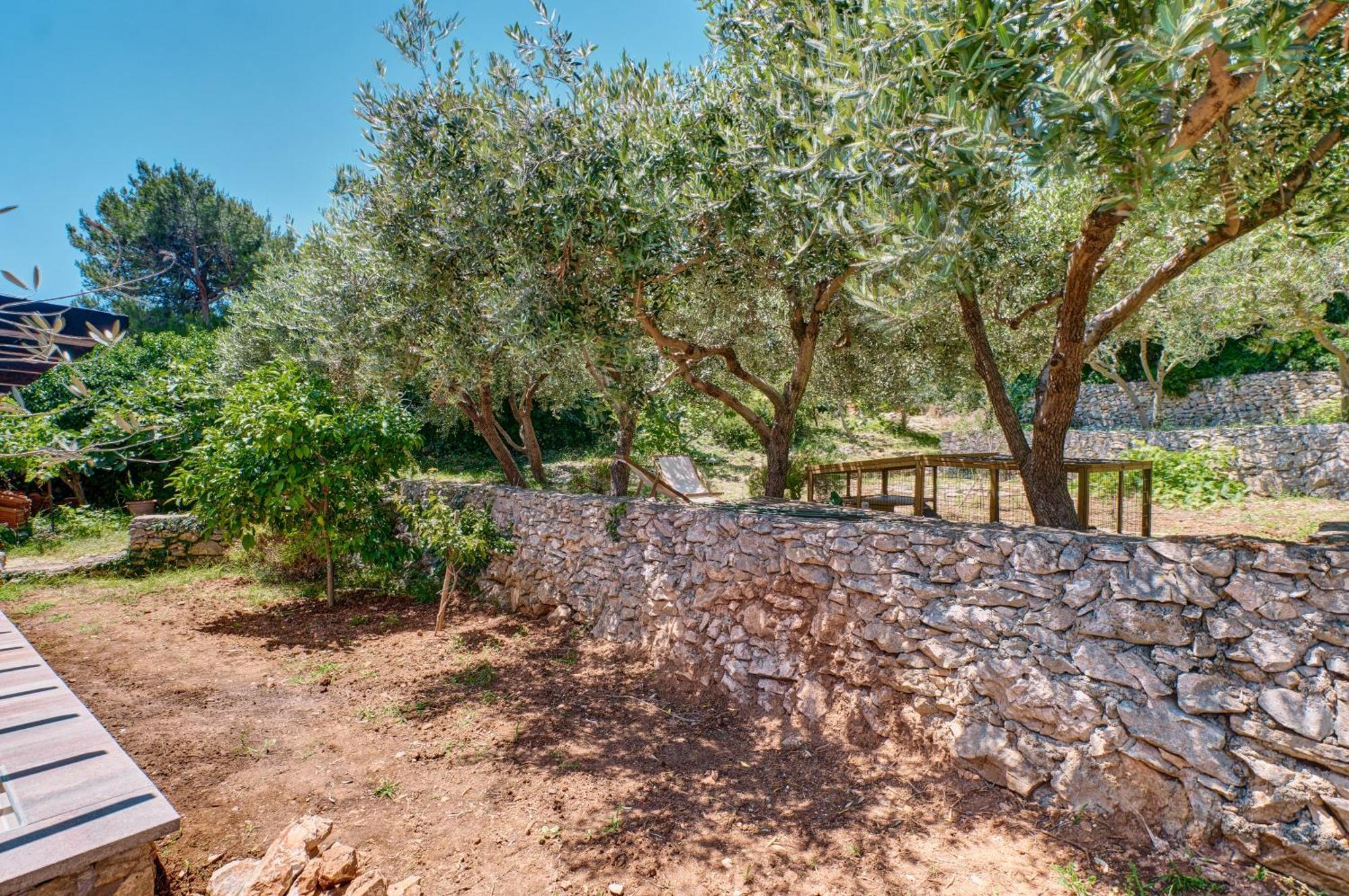 Providenca Accommodation Mali Lošinj Exteriér fotografie